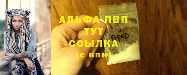 индика Балахна