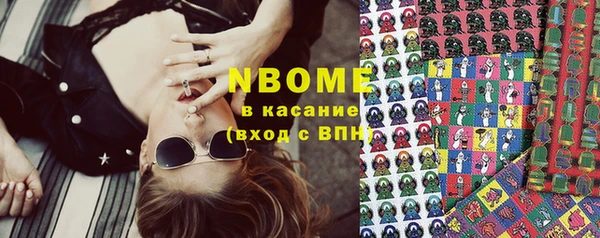индика Балахна