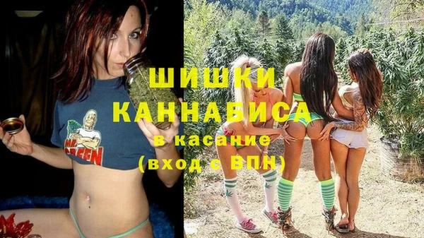 индика Балахна