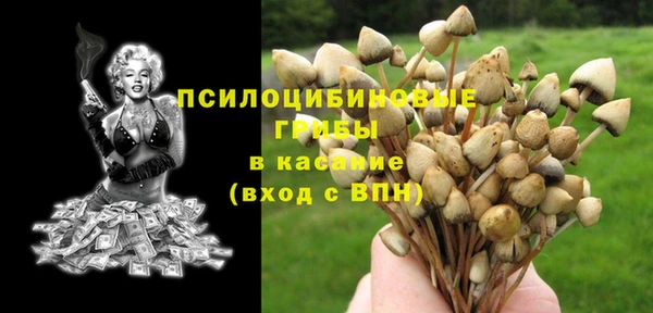 индика Балахна