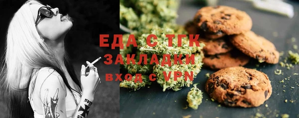 индика Балахна